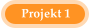 Projekt 1